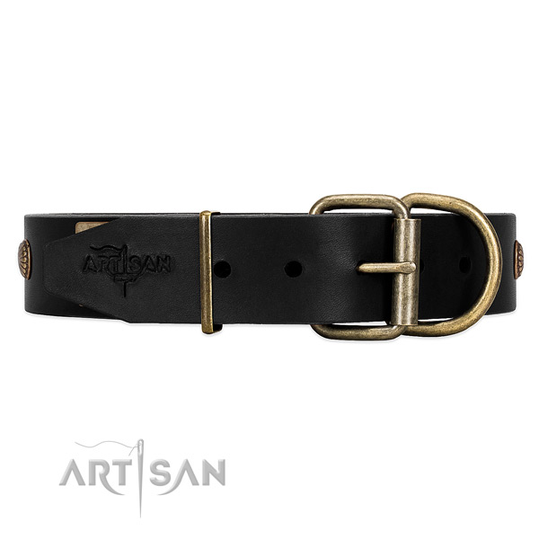 Black Dog Collar with Rust-proof Hardware for Safe Walking