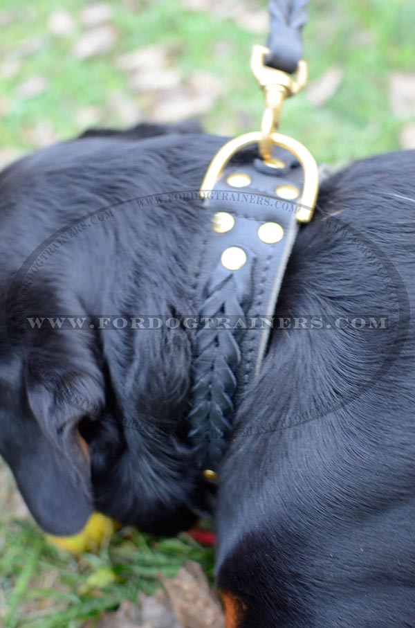 Rottweiler Dog Collar Designer Work