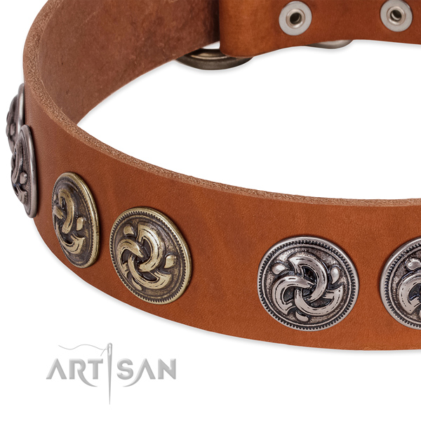 Tan leather dog collar with vintage decorations