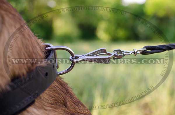 Solid rust resistant hardware on dog collar
