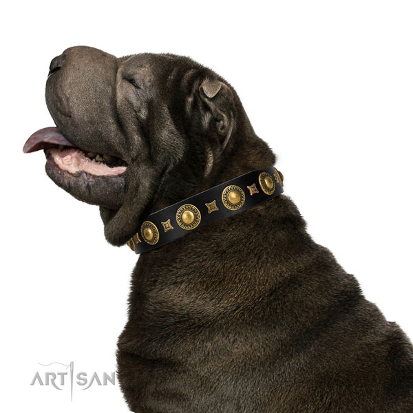 Handcrafted walking leather Shar Pei collar