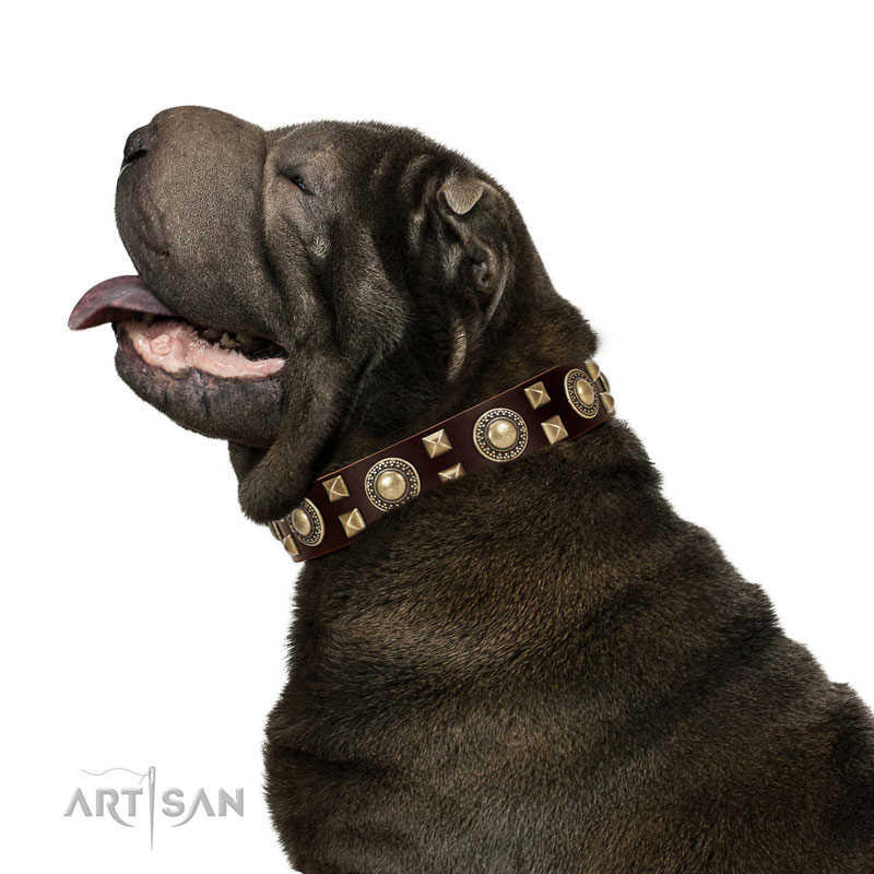 Handcrafted walking leather Shar Pei collar