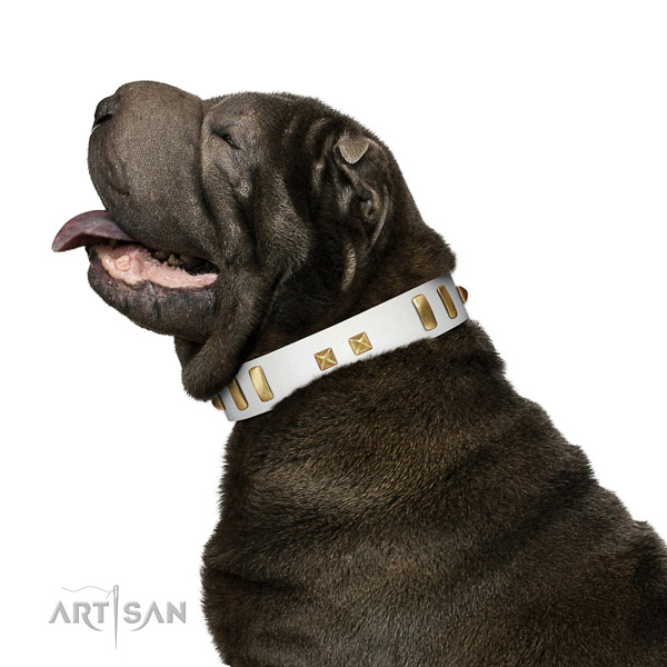 Soft Leather Shar Pei Collar for Daily Use