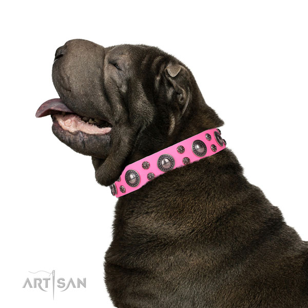 Shar Pei adjustable full grain genuine leather dog collar with embellishments