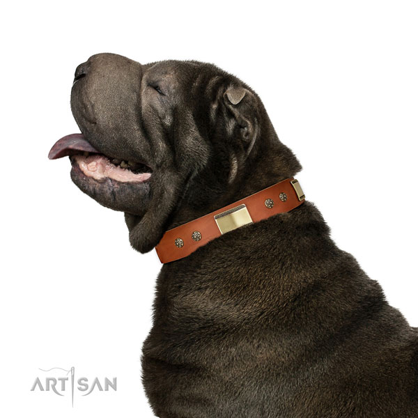 Shar Pei handy use dog collar of comfortable genuine leather