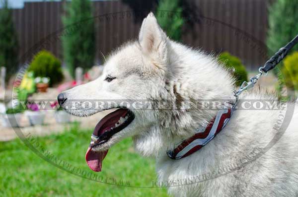 Painted Leather Siberian Husky Collar