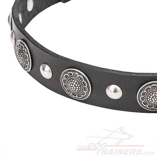 Leather Dog Collar with Studs and Conchos