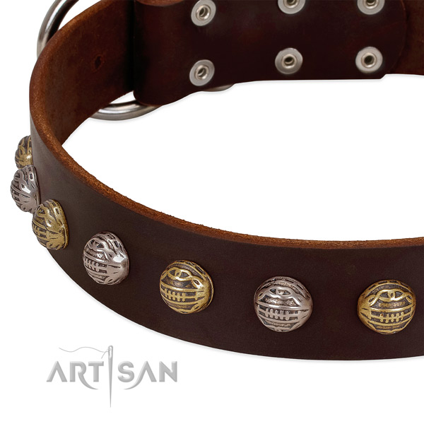 Ornate Studs on FDT Artisan Brown Leather Dog Collar