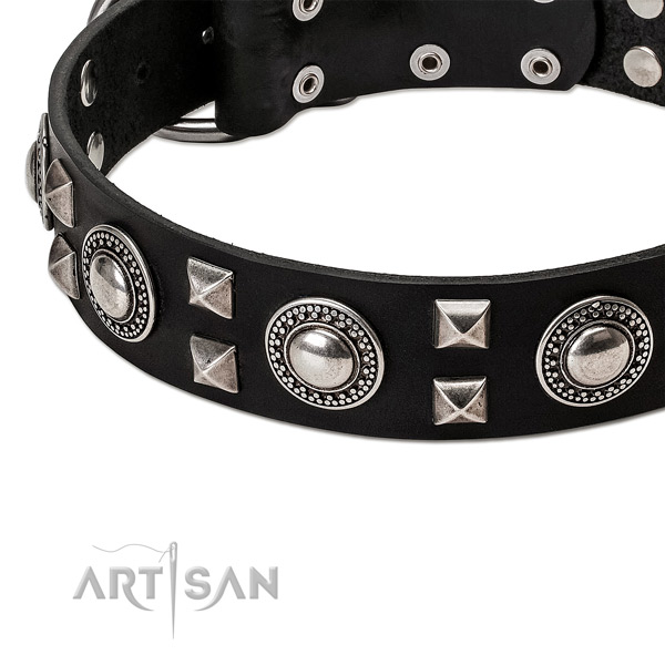 Modern leather dog collar with cool decorations