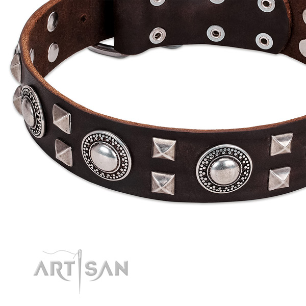 Modern leather dog collar with cool decorations