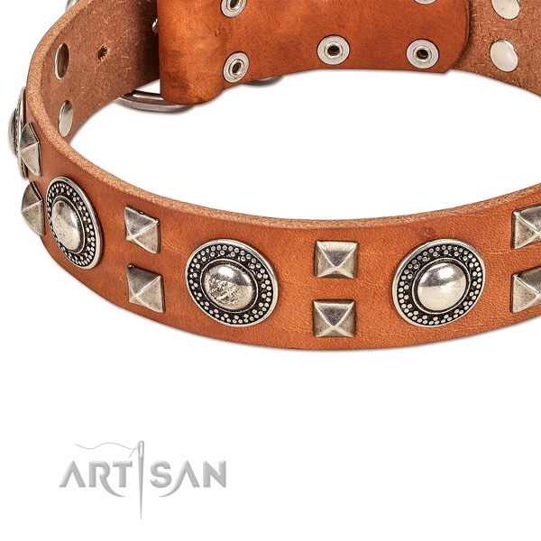 Modern leather dog collar with cool decorations