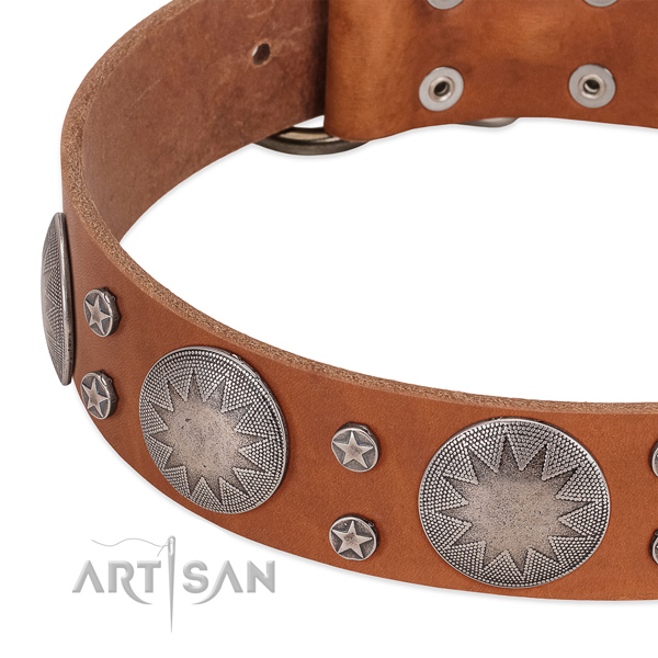 Tan leather dog collar with vintage decorations