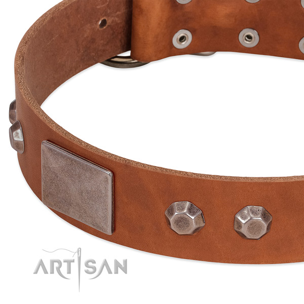 Tan leather dog collar with vintage decorations