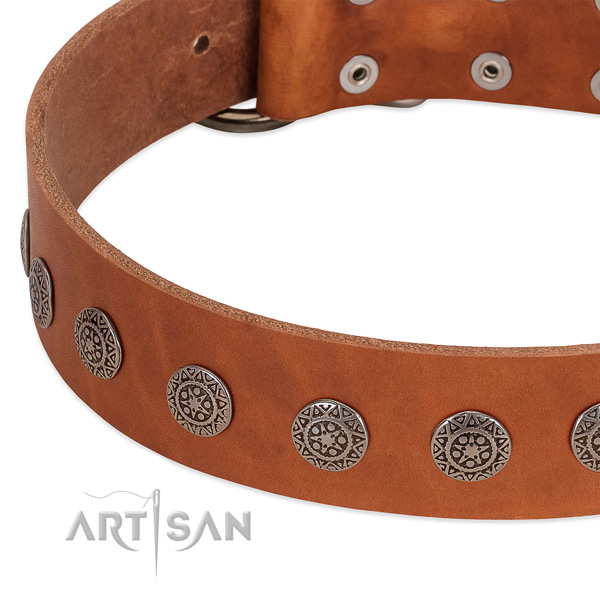 Tan leather dog collar with vintage decorations