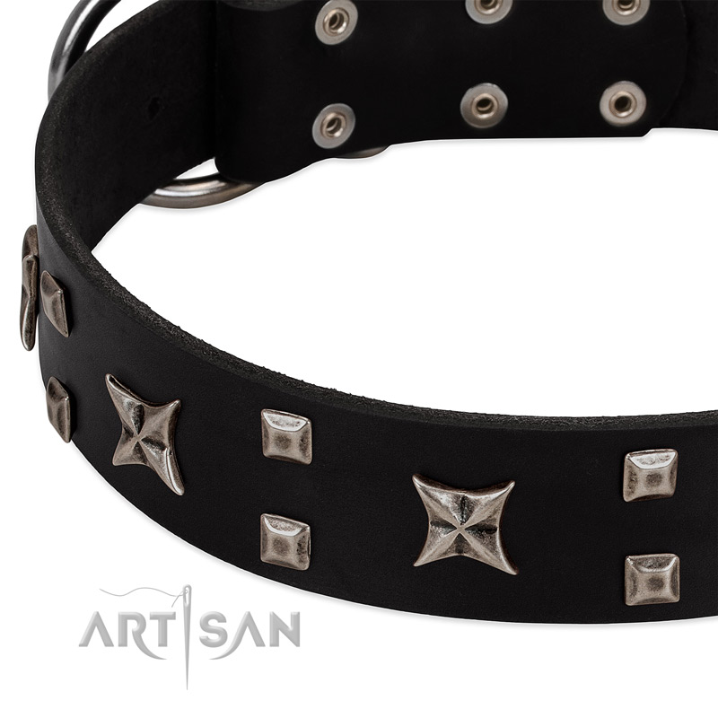 Black leather dog collar with modern decorations