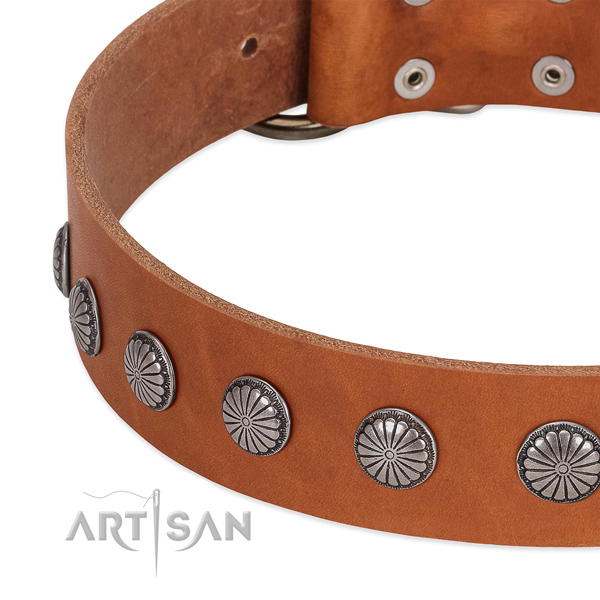 Tan leather dog collar with vintage decorations