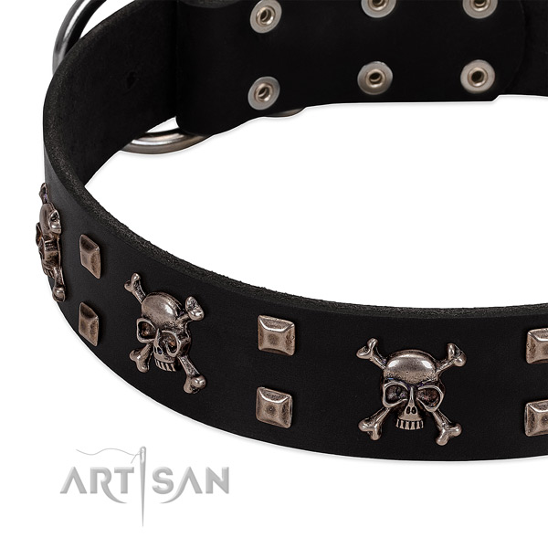 Black leather dog collar with modern decorations