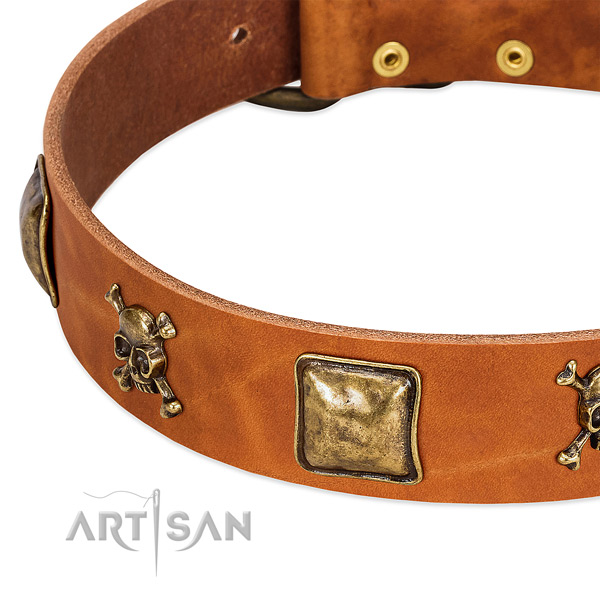 FDT Artisan dog collar adorned with skulls and crossbones in combination with squares