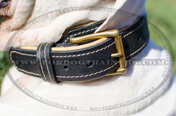 D-Ring on Dog Collar Leather for Training