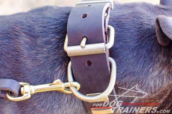 Leather Pitbull Collar with Durable Easy-to-Use Buckle 