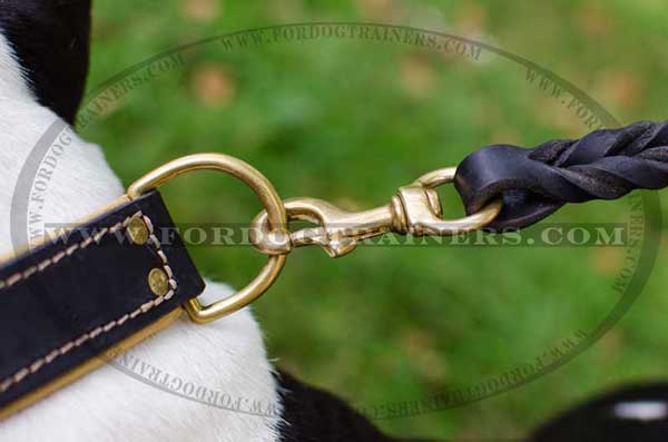 Reliable Brass D-Ring on Leather Dog Collar for Walking