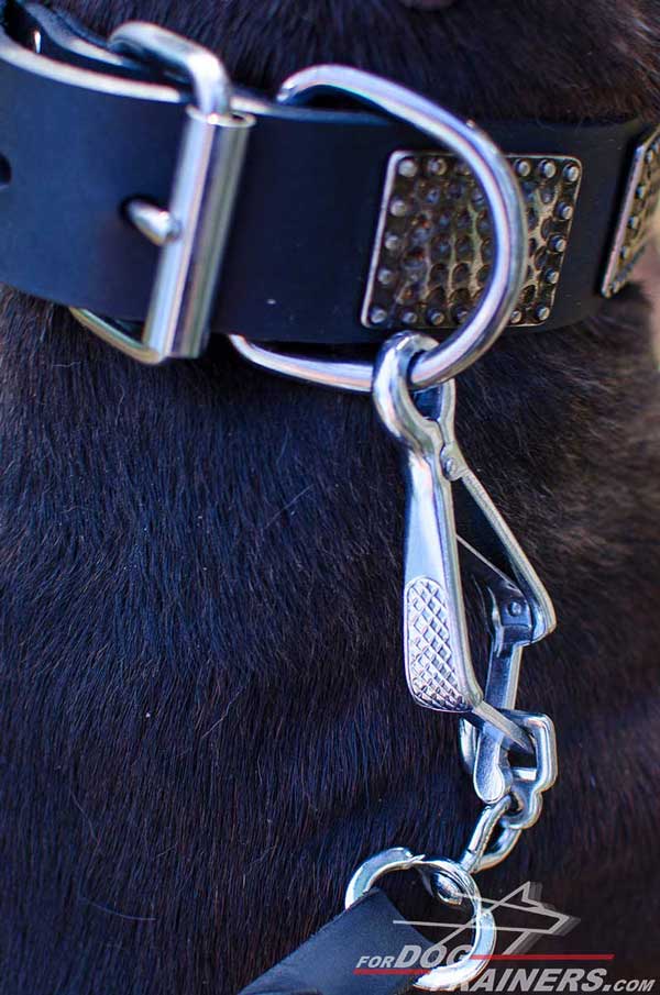 Nickel Plated D-Ring on Leather Pitbull Collar 