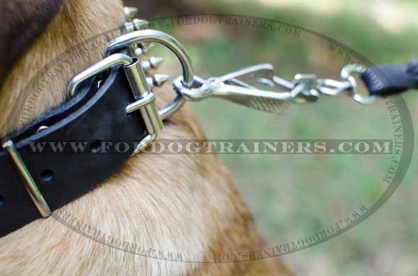 Dog Collar with Nickel-Plated Fittings