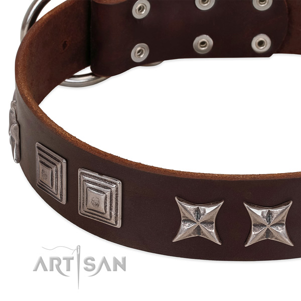 Brown leather dog collar with modern decorations