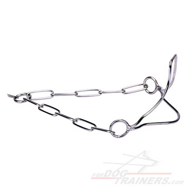 Metal chain dog collar