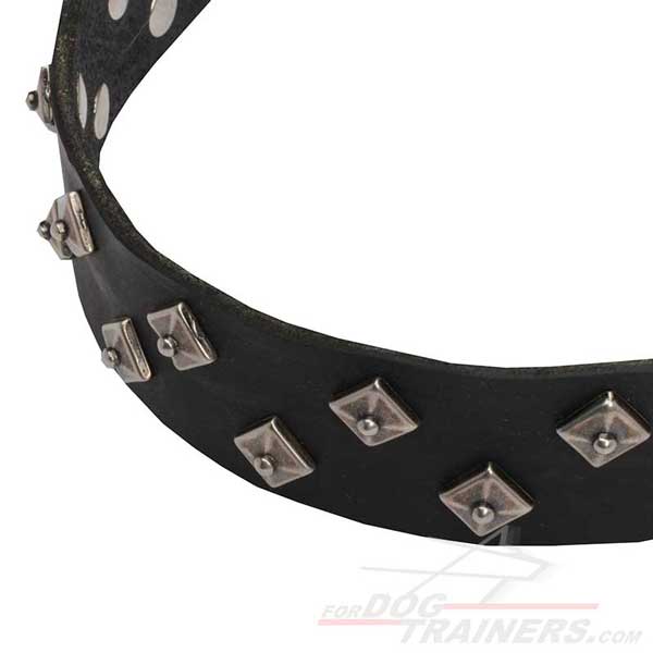 Leather Dog Collar with Star Studs Decor