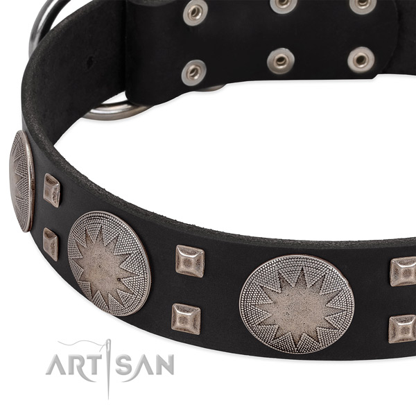 Black leather dog collar with modern decorations