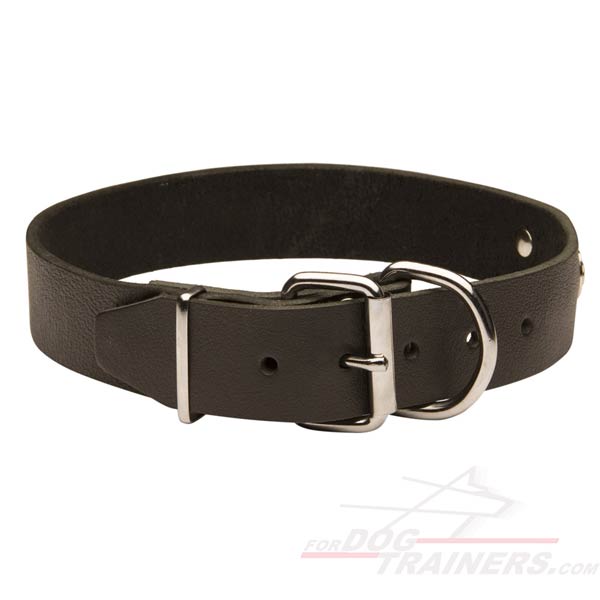 Dog Collar Leather with Rustproof Fittings