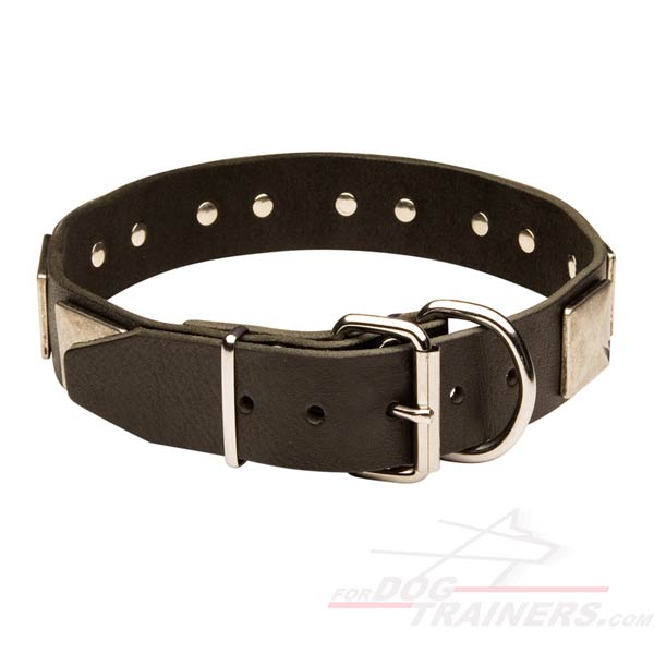Everyday Leather Dog Collar with Sturdy Hardware