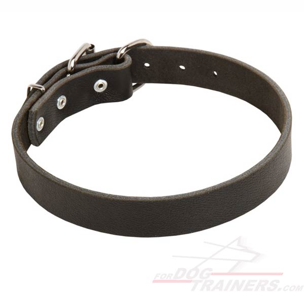 Reliable Leather Dog Collar