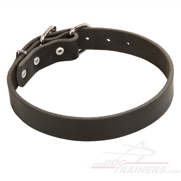 Premium Quality Leather Cane Corso Collar