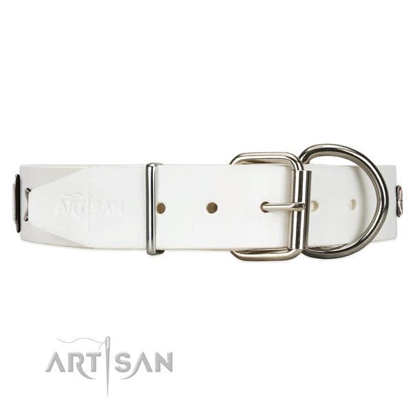 White leather dog collar with durable fittings