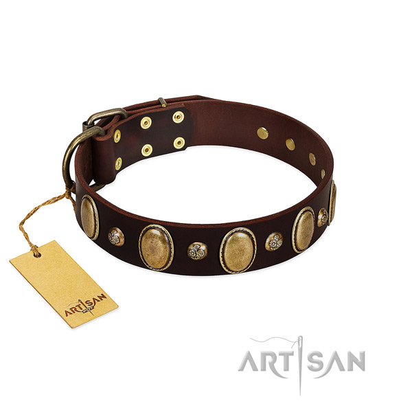 Decorated Brown Leather Dog Collar for Safe Walking