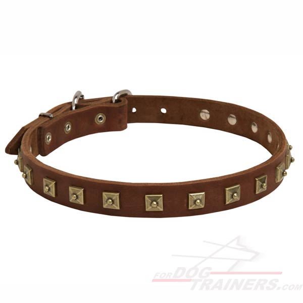Handcrafted Studded Leather Dog Collar