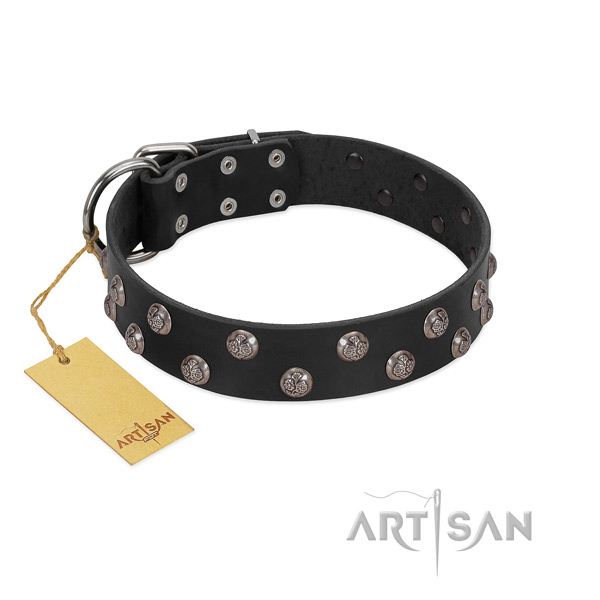 Handcrafted FDT Artisan leather dog collar is free of toxins