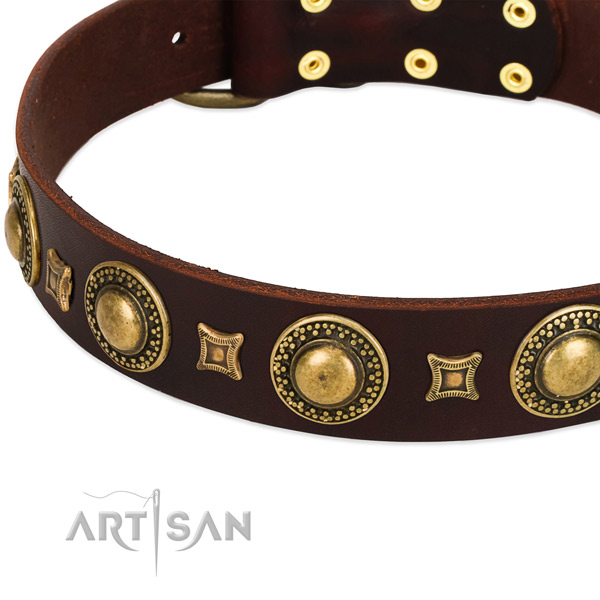 FDT Artisan Leather Dog Collar for Walking in Style