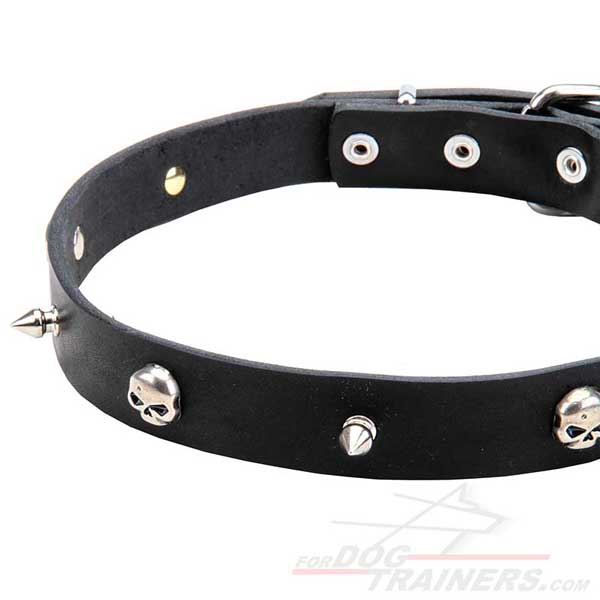 Nickel Plated Decorations on Leather Dog Collar