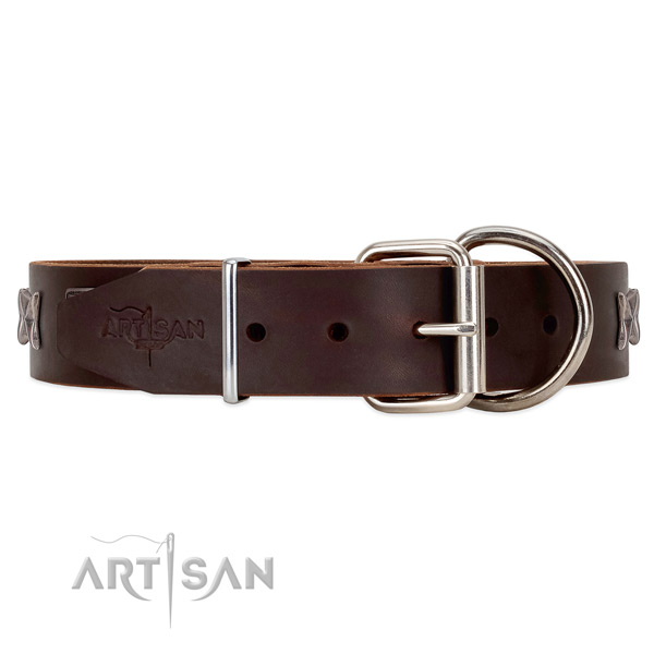 Leather dog collar with chrome-plated hardware