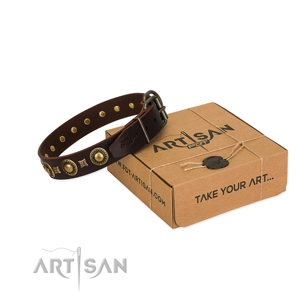 Embellished Brown Leather Dog Collar in Special Gift Box