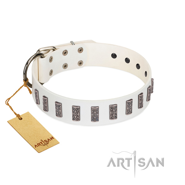  FDT Artisan leather dog collar with reliable hardware