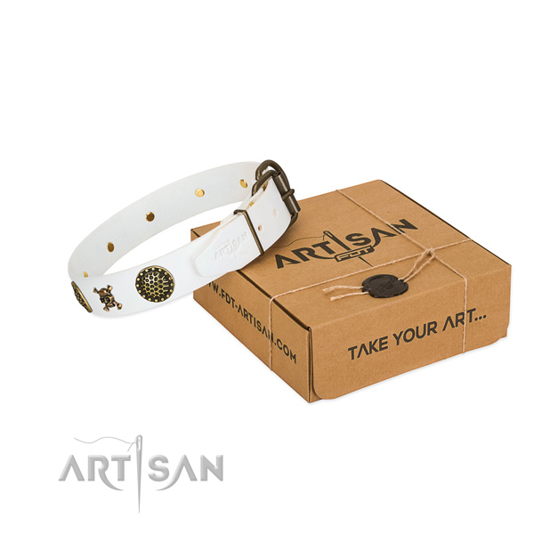 FDT Artisan leather dog collar for good walks