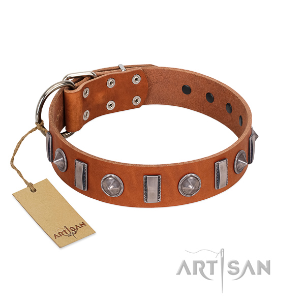 Fabulous FDT Artisan leather dog collar