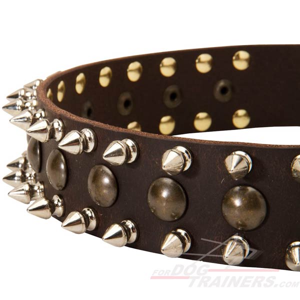 Awesome Decoration on Leather Dog Collar