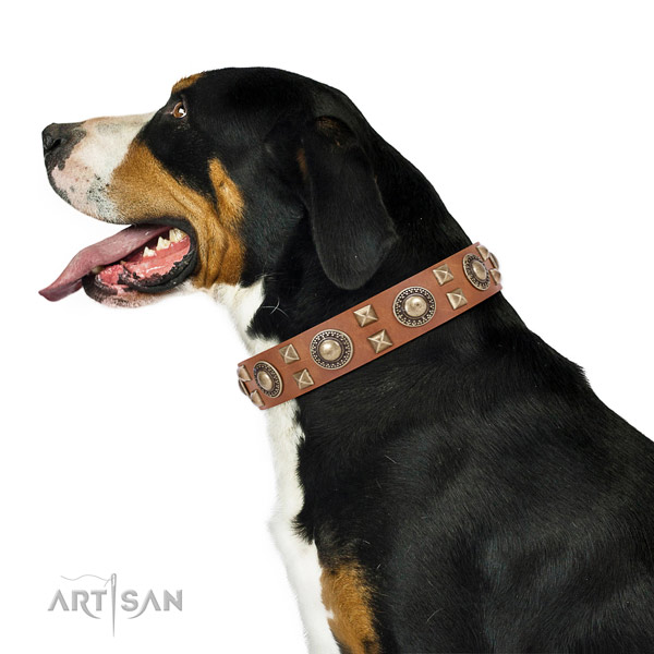 Handcrafted walking leather Swiss Mountain collar