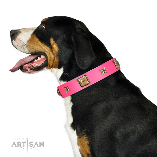 Full Grain Leather Swiss Mountain Dog Collar with Old Bronze Adornments