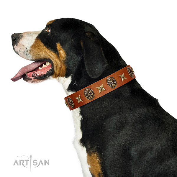 Comfortable leather Swiss Mountain Dog collar for walking